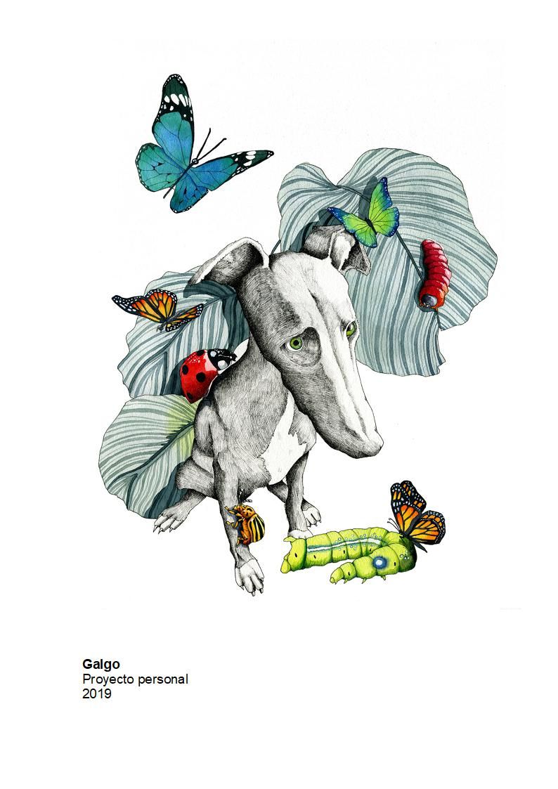 Portfolio El Pez melon 1