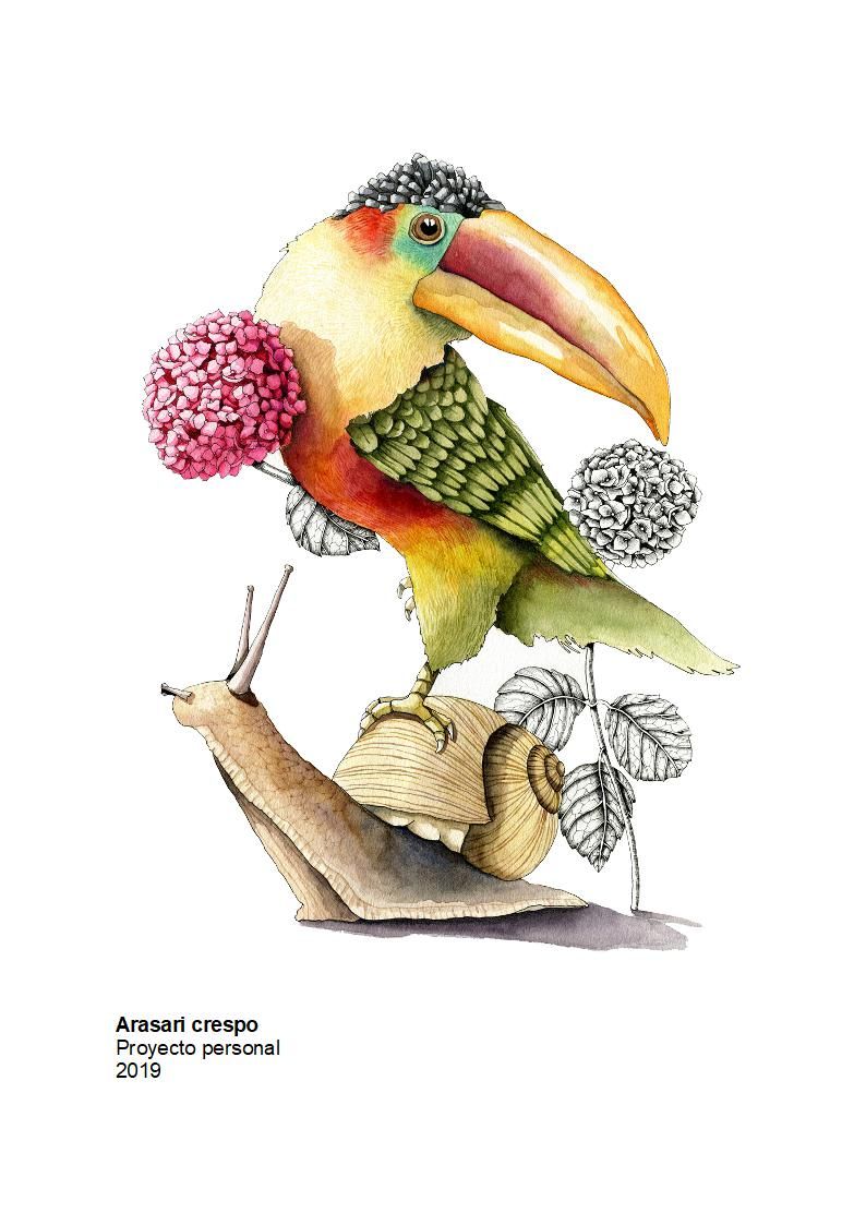 Portfolio El Pez melon 1