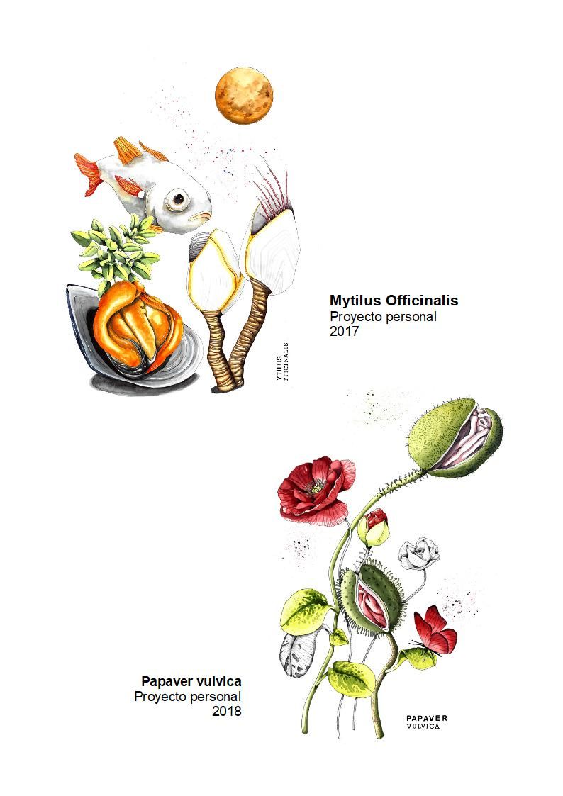 Portfolio El Pez melon 5