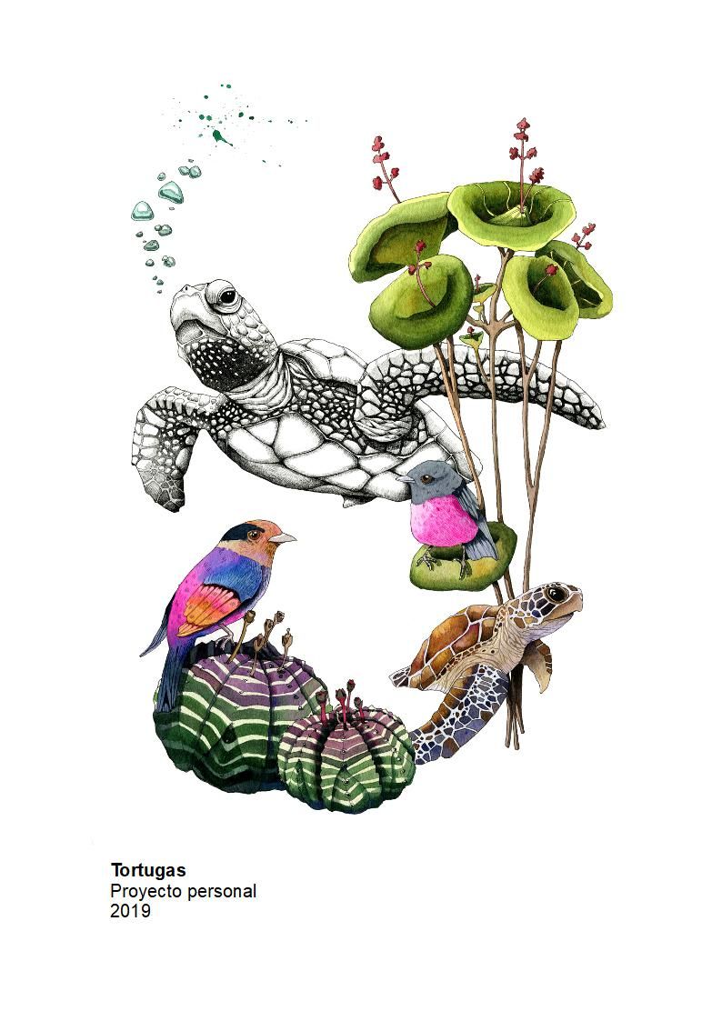 Portfolio El Pez melon 7