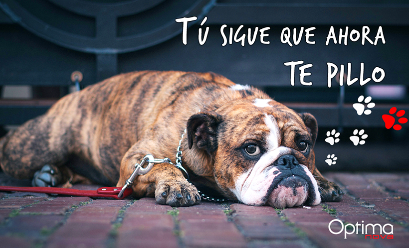 Creatividades digitales 30