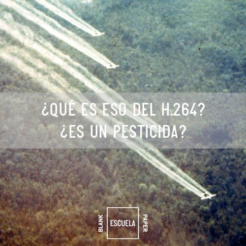 Blank Paper Escuela Cursos de Fotografía 1