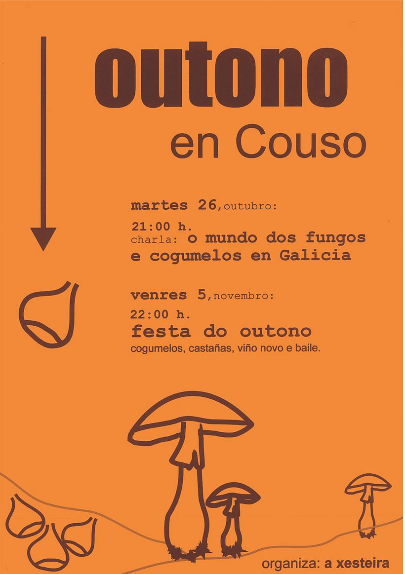 Ilustración y diseño cartel. Año 2004