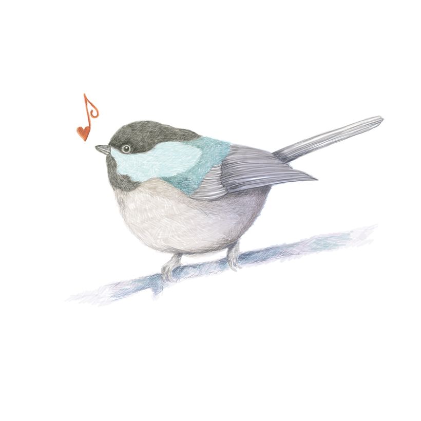 My project in Digital illustration with coloured pencils course -1