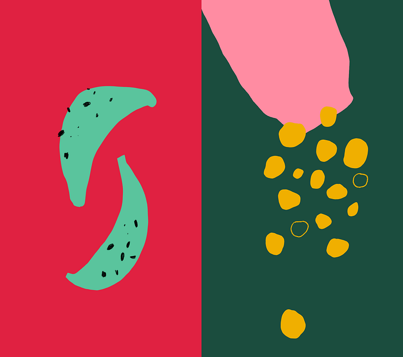 Recetas ilustradas 2