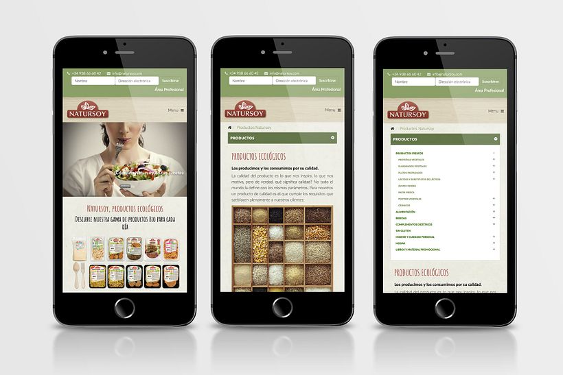 Diseño Web Natursoy 5