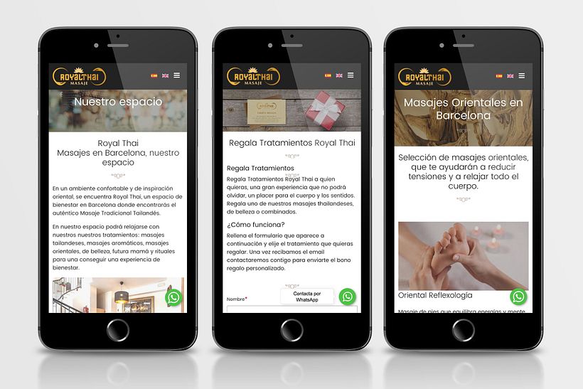 Diseño Web Royal Thai 7