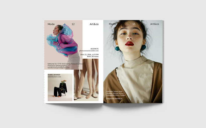 Proyecto del curso: Introducción al diseño editorial 3