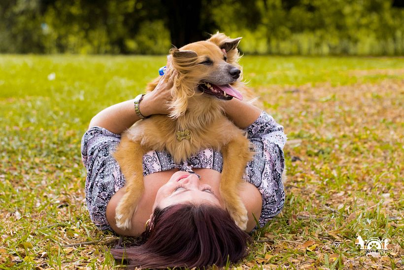 Mi Proyecto del curso: Introducción a la fotografía de perros 1