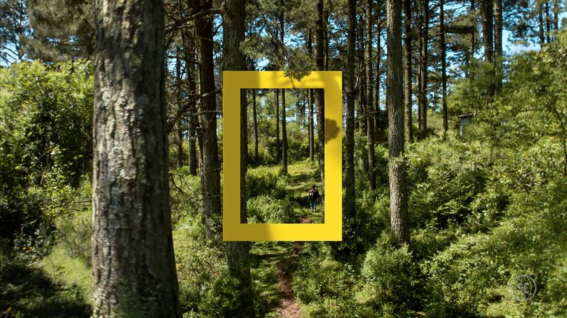 NatGeo • IDs 3