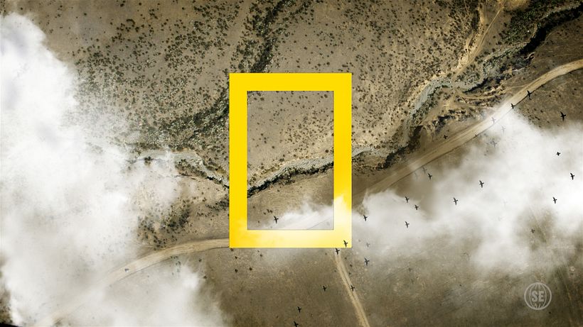 NatGeo • IDs 5