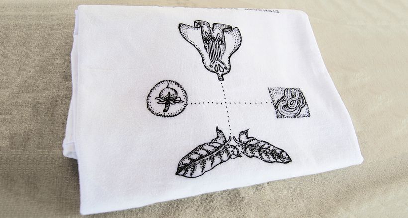 Textil illustration 1