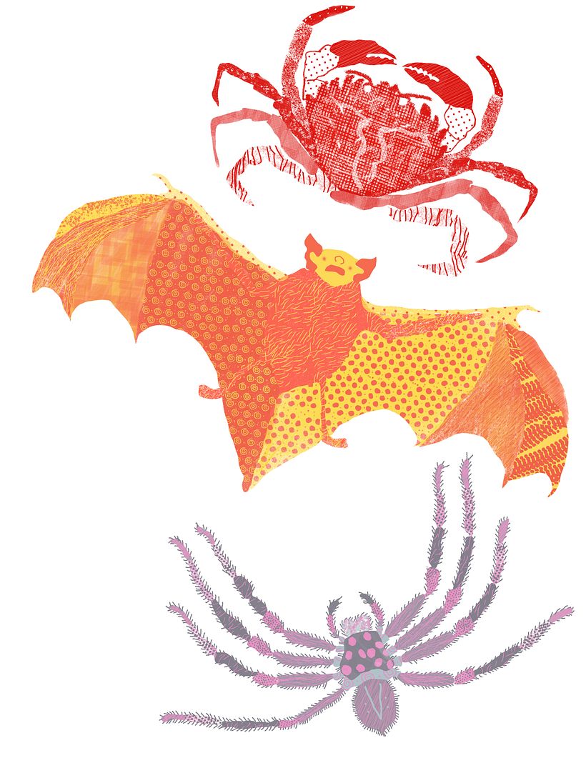 My project in Digital Illustration with Textures in Photoshop course 2
