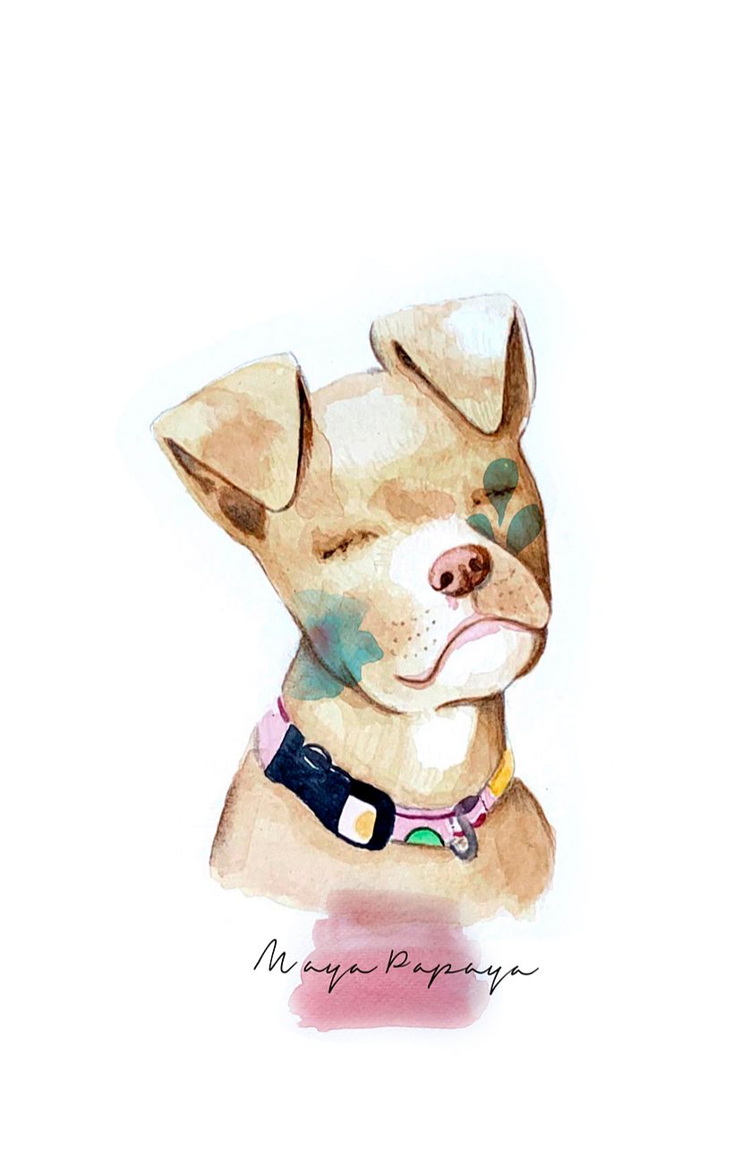 Busco ilustrador/a para portada y contraportada de una novela 4