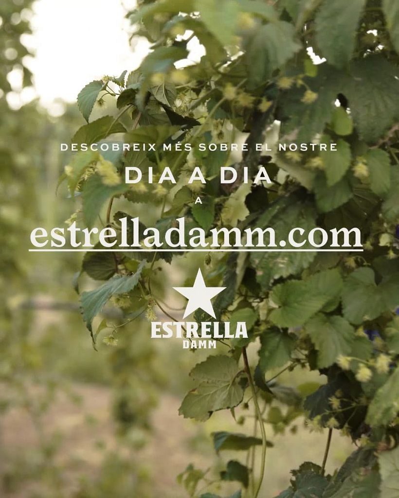 ESTRELLA DAMM 1