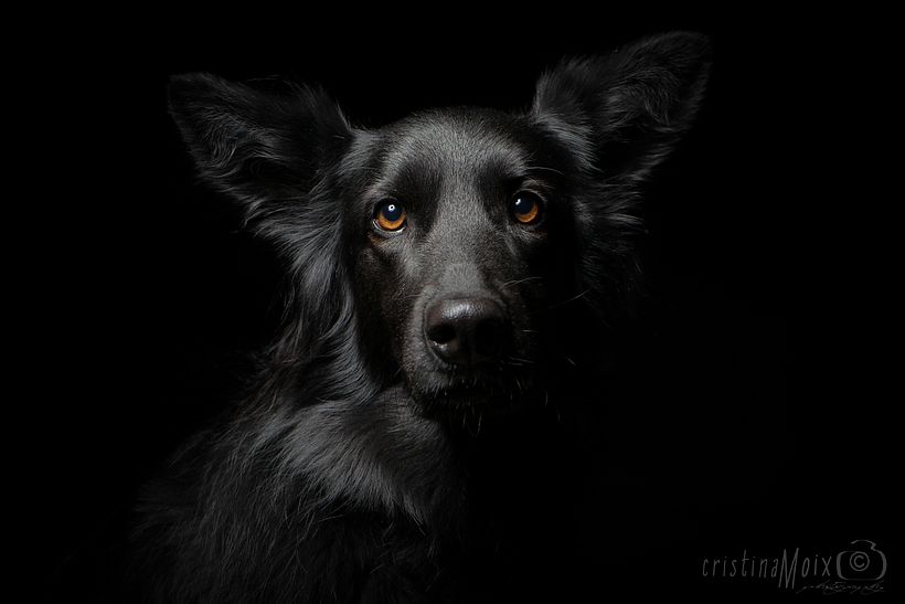 foto con un único punto de luz con beauty dish