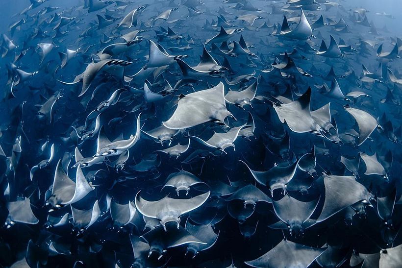 Christina Mittermeier