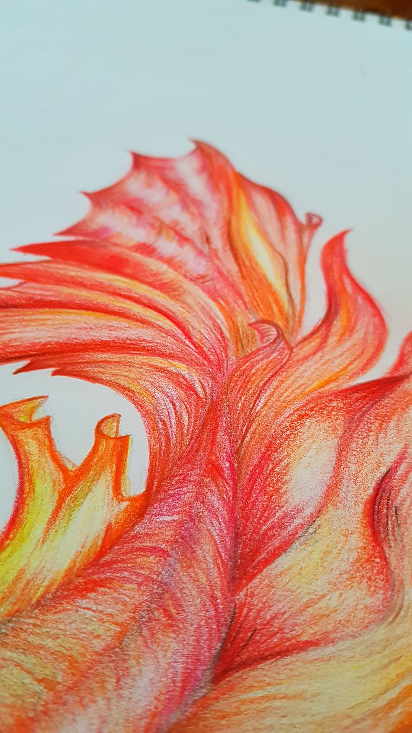 dibujo lapiz color  4