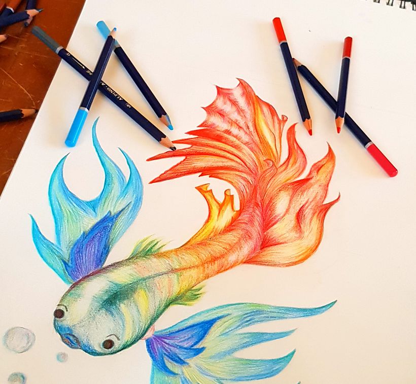 dibujo lapiz color  0