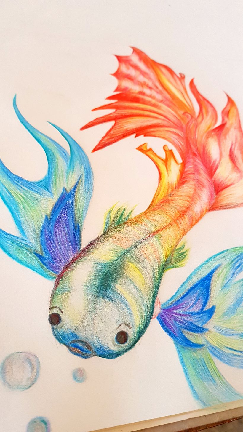 dibujo lapiz color  1
