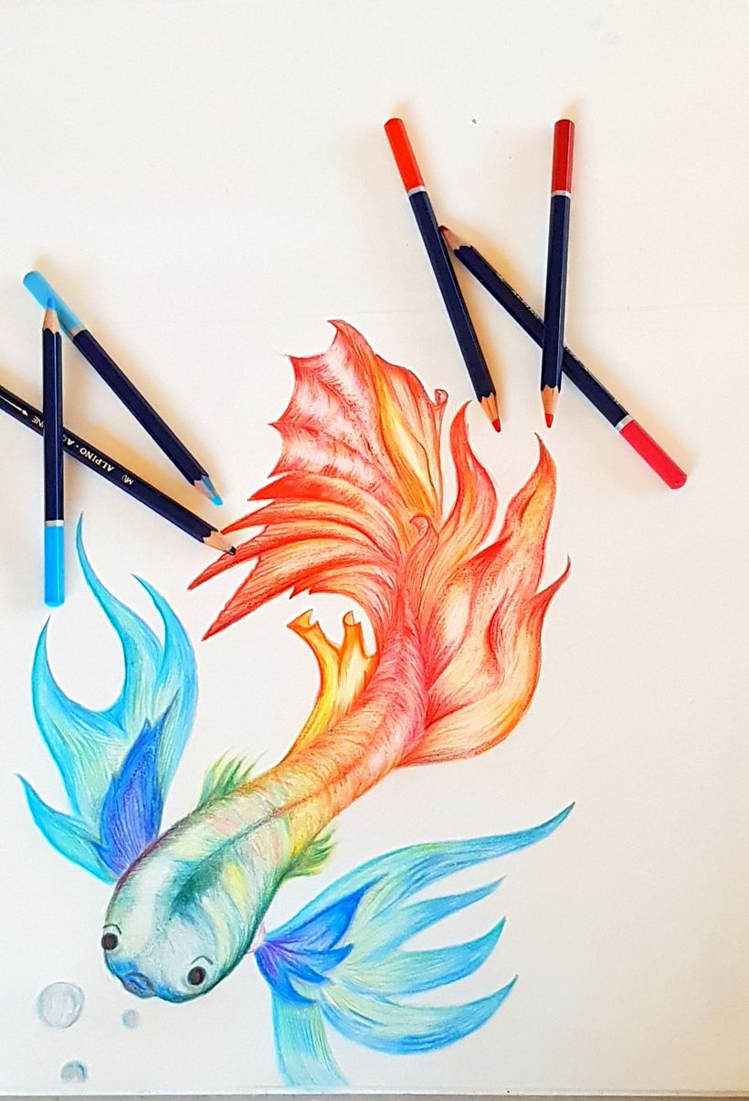 dibujo lapiz color  2