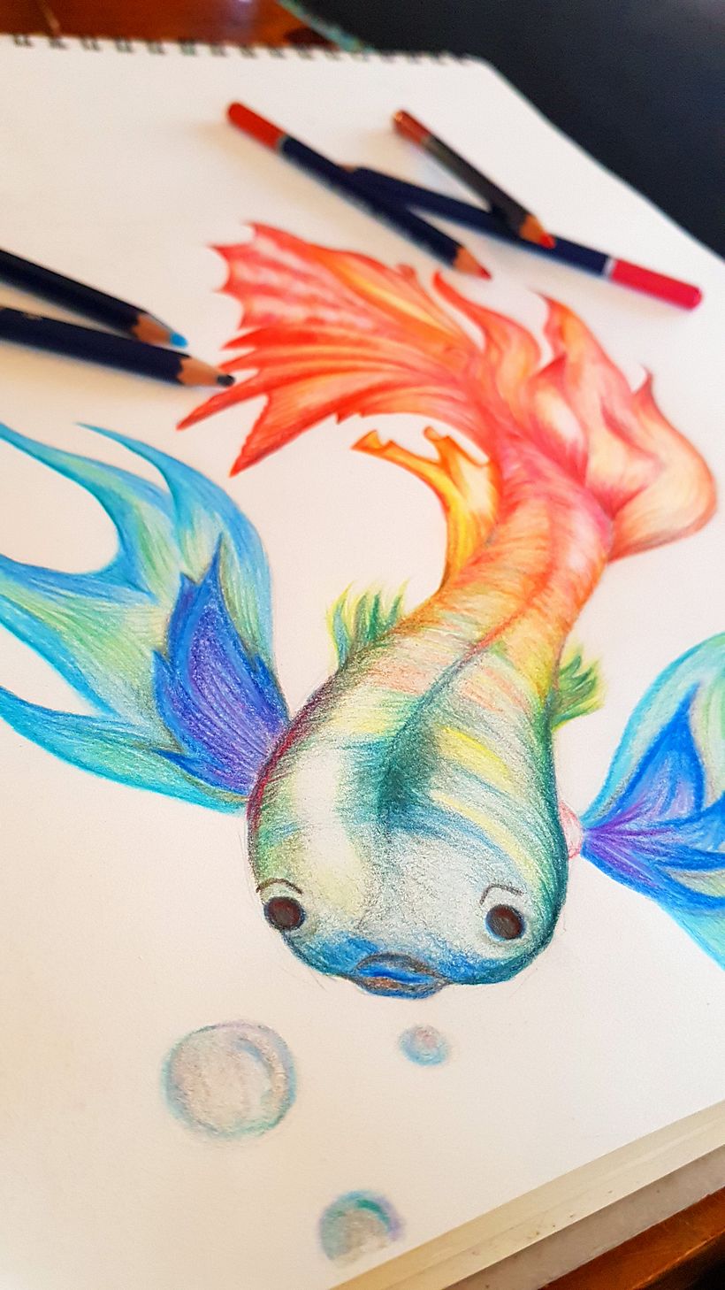 dibujo lapiz color  3