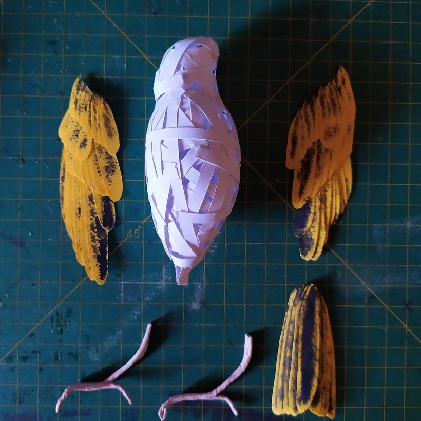 Meu projeto do curso: CANARINHO- Canario da terra 1