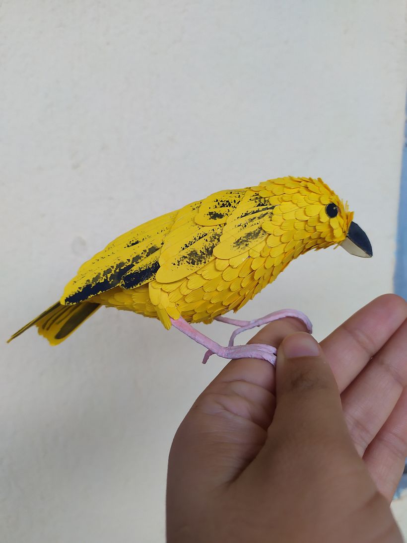 Meu projeto do curso: CANARINHO- Canario da terra 2