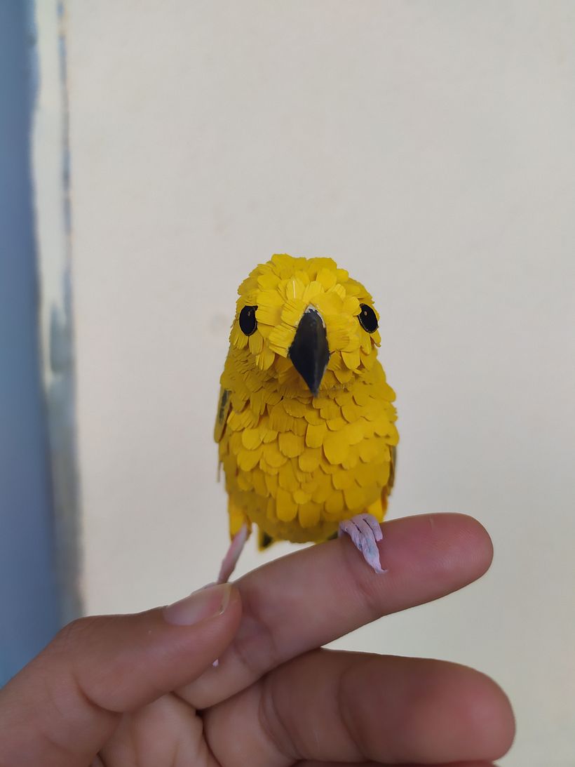 Meu projeto do curso: CANARINHO- Canario da terra 3