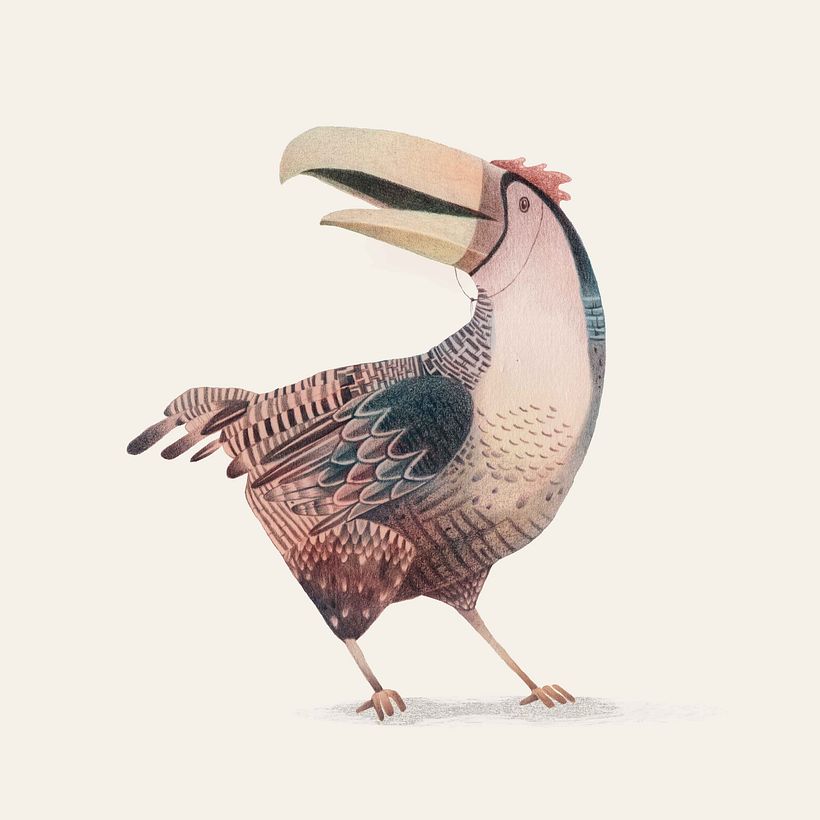 A Toucan Disguised as a Chicken in El Meta