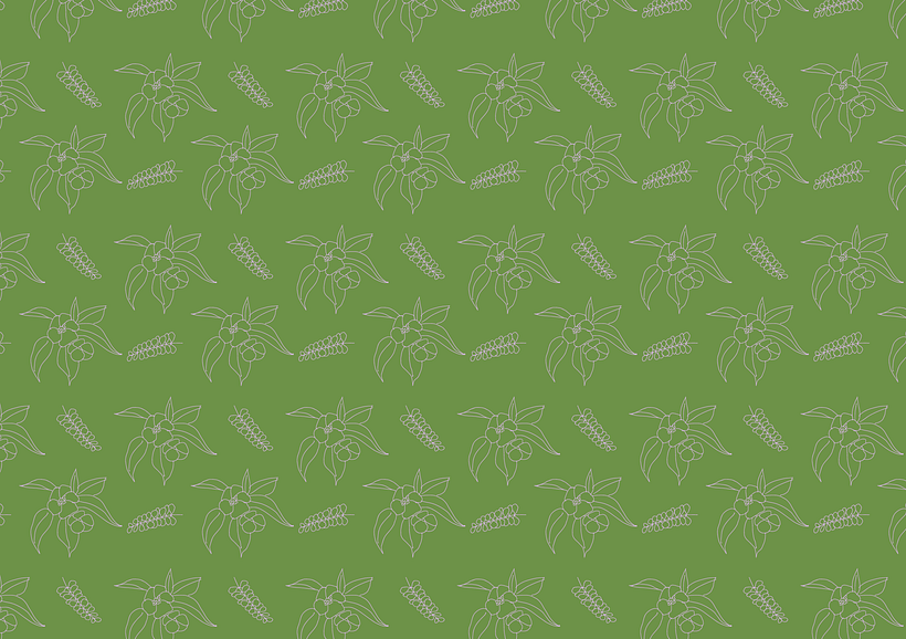 Patrón Vectorial 2