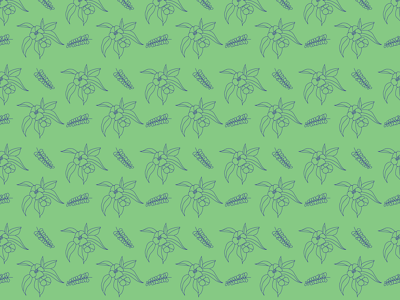 Patrón Vectorial 3