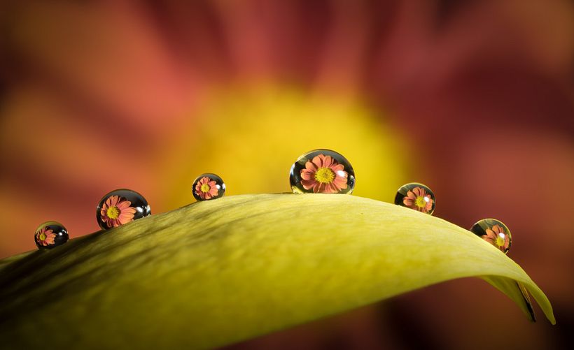 Proyecto - stacking con carril