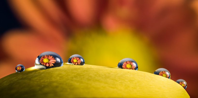 Proyecto - Stacking manual (moviendo anillo de enfoque)