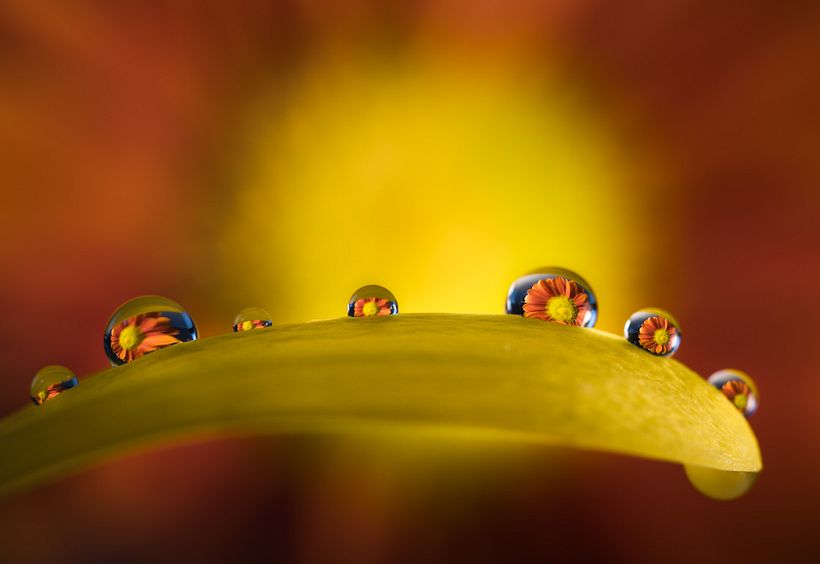 Proyecto - Sin stacking - una sola foto