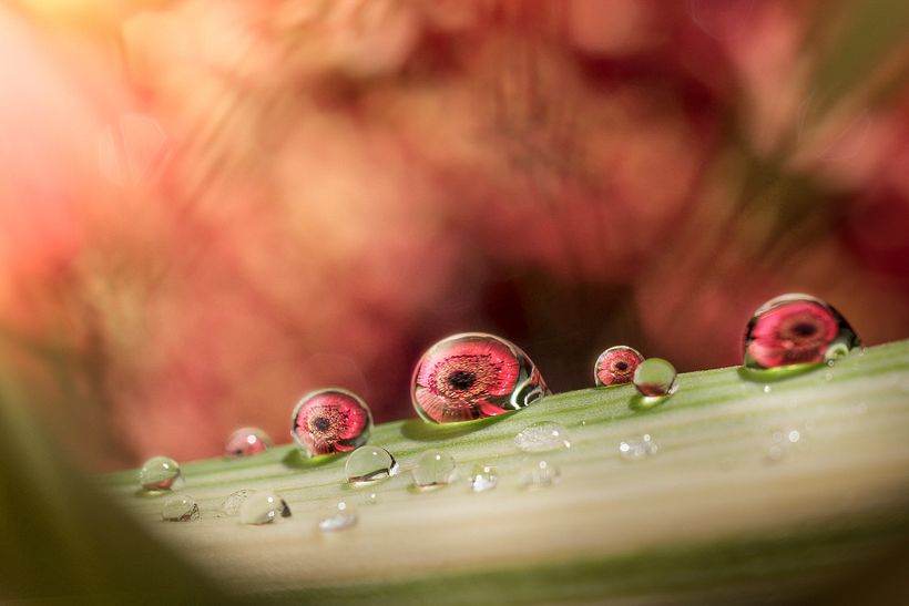A destacar: Una sola foto sin stacking, con primer plano de desenfoque. Entrada de luz izquierda en posproducción