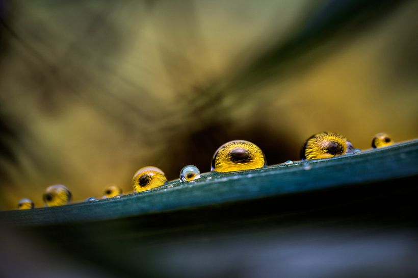 A destacar: sin stacking y iluminando el fondo de forma potente para crear un efecto contraluz.