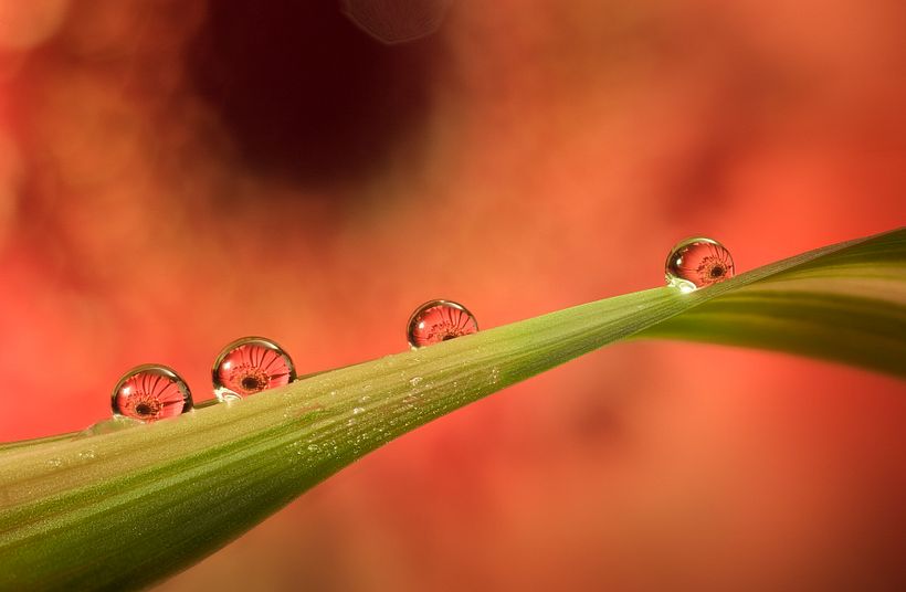 A destacar: Stacking de muchas fotografías, más de 50.