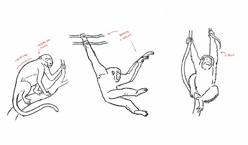 Boceto de los monos. Gemma Busquets
