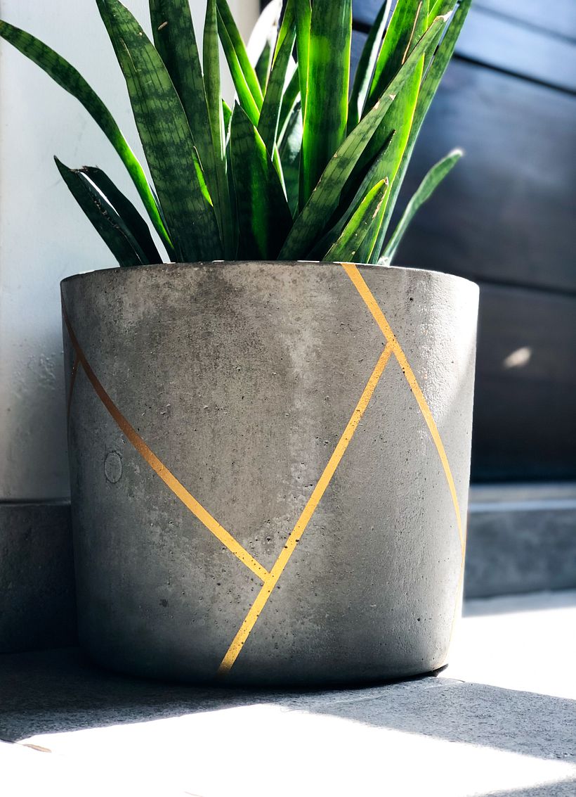 Concrete Planter With Acrylic Paint
