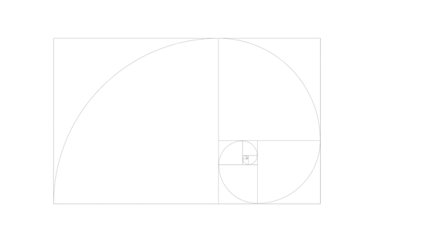 Comencé, a través de una espiral de Fibonacci, a componer un boceto que hace alusión a los caídos en las marchas.