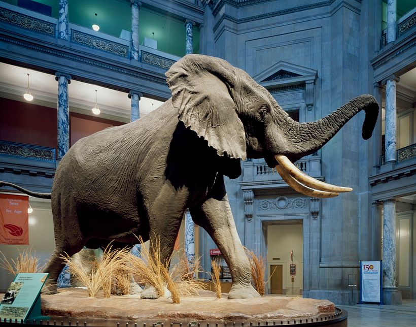Smithsonian