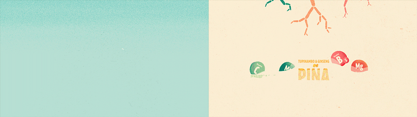 McCann / Aquarius Raygo 5