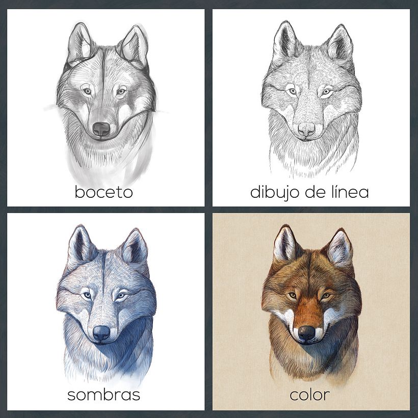 Desarrollo de la imagen secundaria en forma de dibujo iluminado.