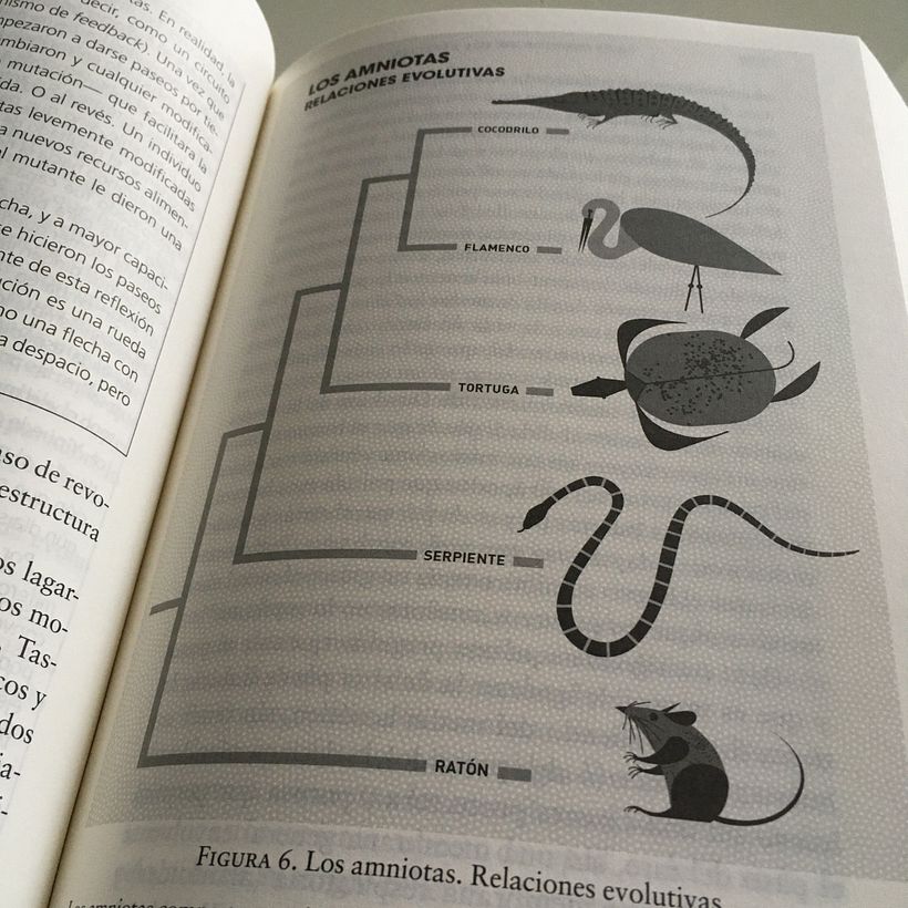 Ilustraciones del Libro de Juan Luis Arsuaga 0