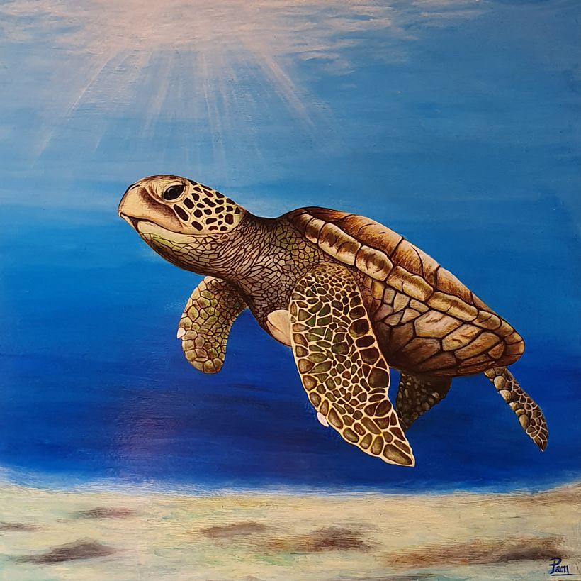 Tortuga Marina - Acrílico