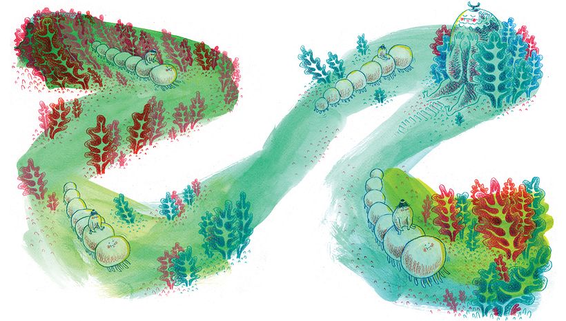 Birthmark - Graphic Novel 1