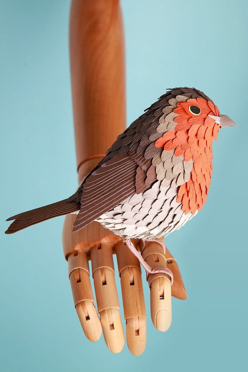 Meu projeto no curso Técnicas Avançadas de Papercraft: Projetando com Papel 1