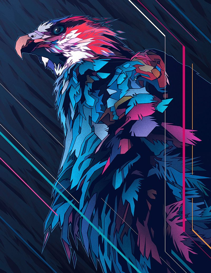 MADAGASCAR FISH EAGLE 0