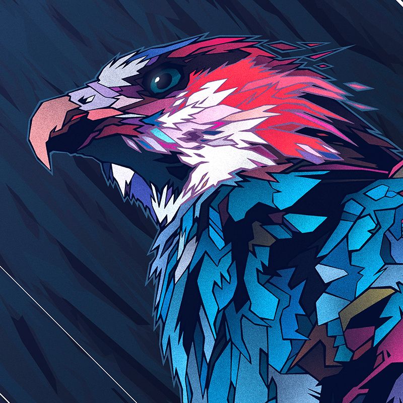 MADAGASCAR FISH EAGLE 1